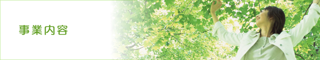 事業内容